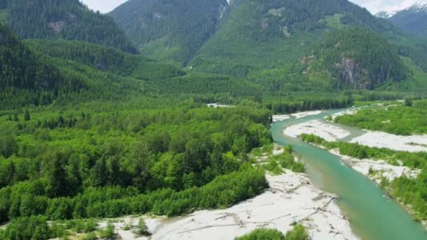 绿树成荫的山谷和河流 — 图库视频影像