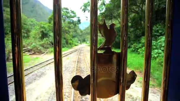 Train travelling along the Hiram Bingham Railroad trail — Stock Video