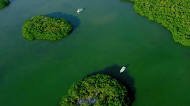 Isla tropical cubierta de rica vegetación fértil — Vídeos de Stock