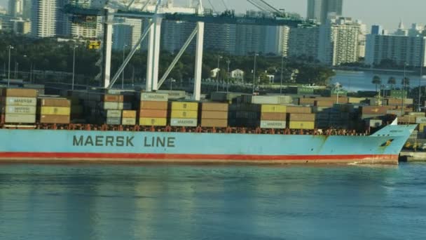 Globaler Containerschiffhafen, miami, — Stockvideo