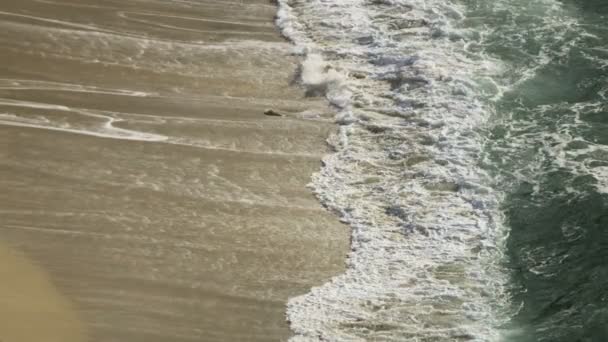 Olas del océano lavado en la playa — Vídeos de Stock