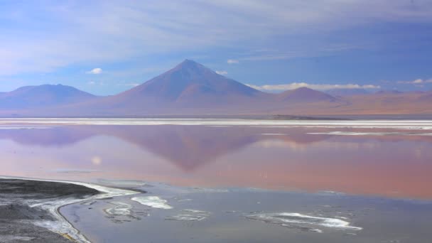 Lago Flamingo en la Reserva Nacional Eduardo Avaroa — Vídeos de Stock