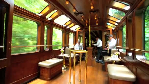 Musicians playing in the Buffet car — Stock Video