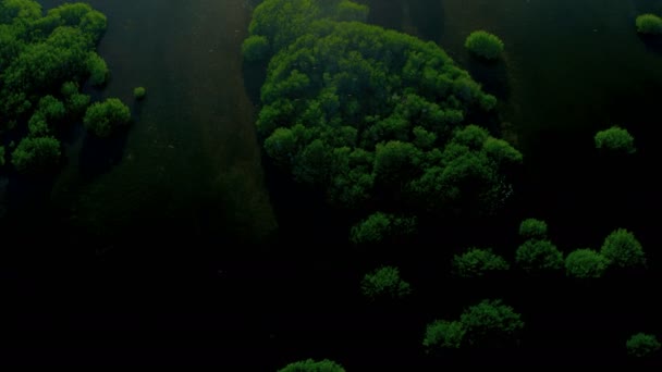 Tropical Island covered in rich fertile vegetation — Stock Video