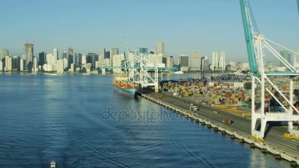 Globaler Containerschiffhafen, miami, — Stockvideo