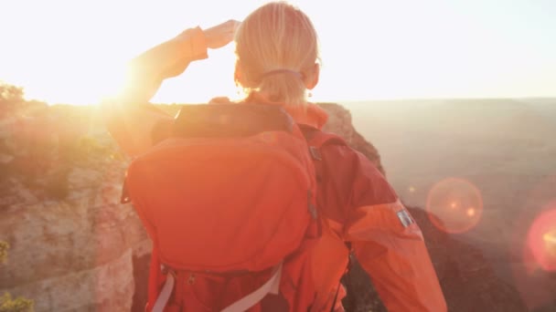 Bekijken van de Grand Canyon — Stockvideo