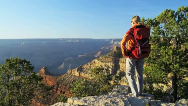 Női Grand Canyon megtekintés — Stock videók