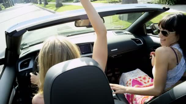 Amigos conduciendo coche — Vídeo de stock