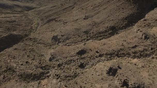 Deserto de Mojave, Nevada — Vídeo de Stock