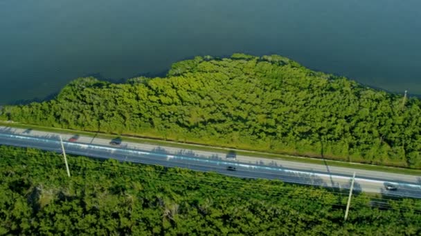 Маршрут 1 шосе перетину marshland Key Largo — стокове відео