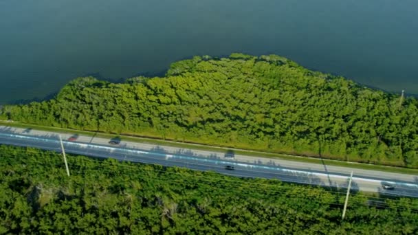 Rota US 1 Rodovia cruzando pântano Key Largo — Vídeo de Stock