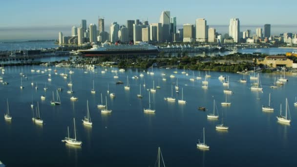 Bahía de Biscayne al amanecer, Miami — Vídeo de stock