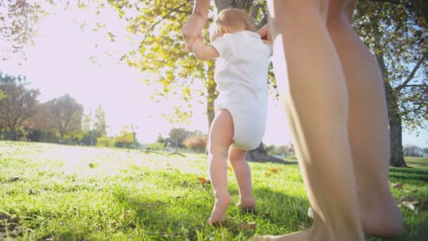 Dziecko trenuje jego pierwsze kroki — Wideo stockowe