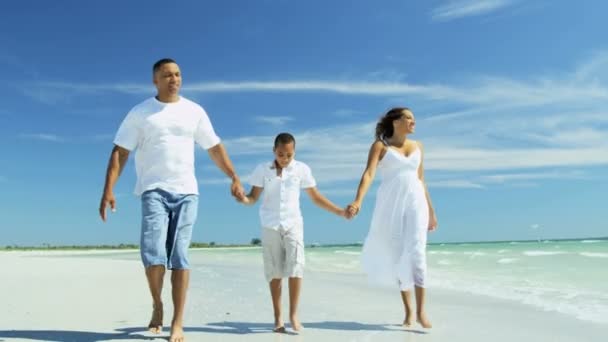 父母和儿子手牵着手在海滩上 — 图库视频影像