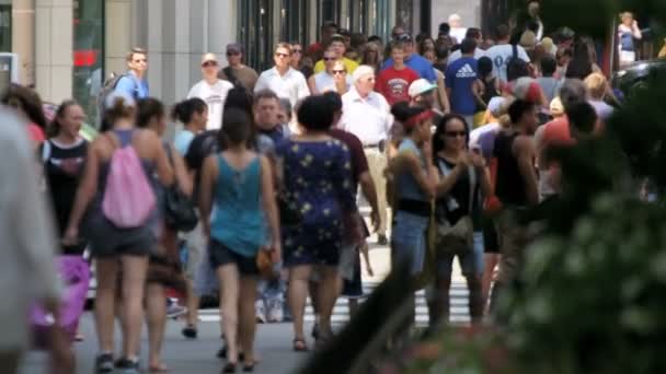 Tourists walking on busy streets — Stock Video