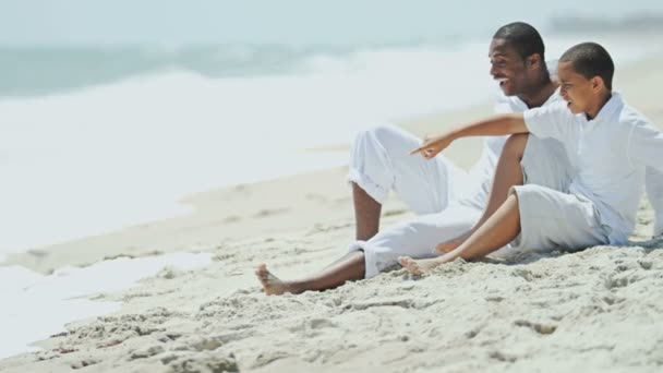 Padre y niño divirtiéndose en la playa — Vídeos de Stock