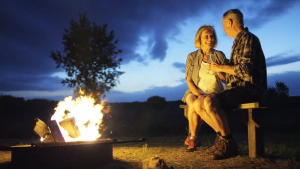 Couple relaxant près de feu de camp — Video