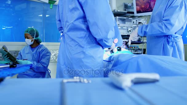 Operationsteam mit Endoskopie — Stockvideo