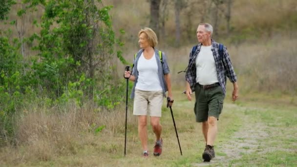 nordic walking sticks for seniors