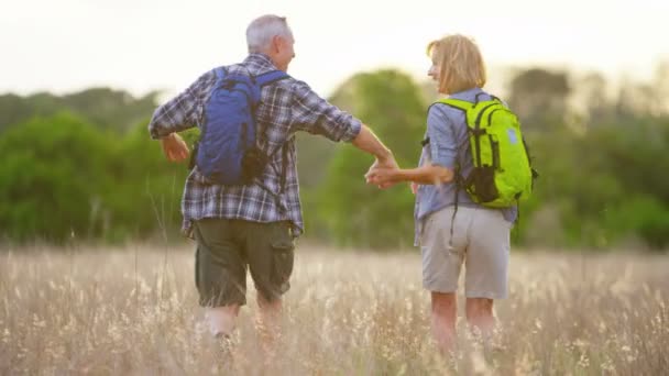 Pareja en el campo — Vídeos de Stock