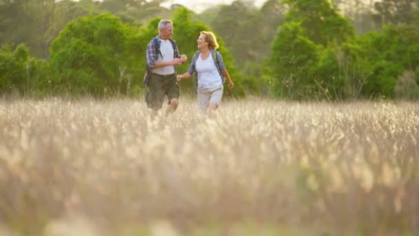 Casal caminhando no campo — Vídeo de Stock