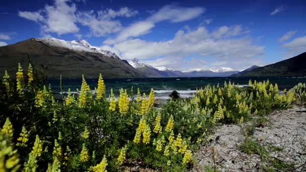 Południowych Alp i jezioro Wakatipu, Nowa Zelandia — Wideo stockowe