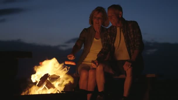 Para gotowania kiełbaski na ognisku — Wideo stockowe