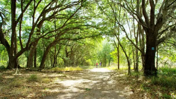 Coppia che ama andare in bicicletta nel parco — Video Stock