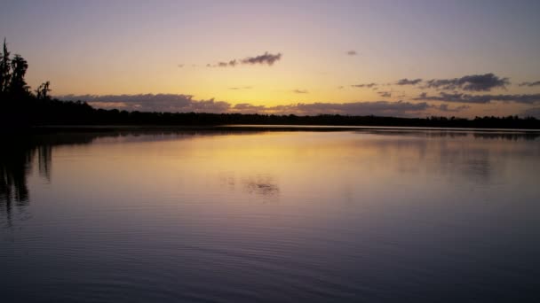 Lake en wildernis bij zonsopgang — Stockvideo