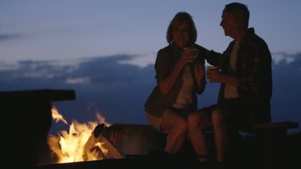 Couple sitting by a campfire — Stock Video