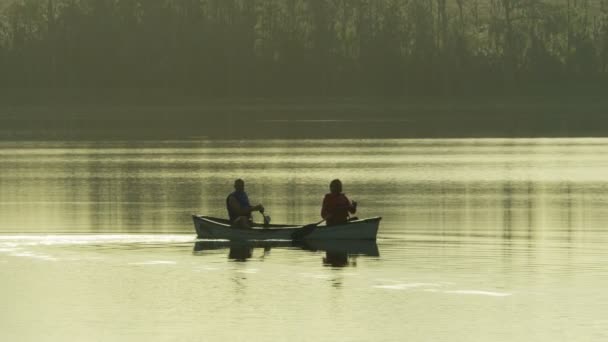 Пара каноэ на озере — стоковое видео