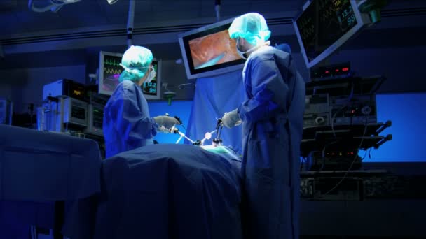 Equipe de treinamento usando endoscopia — Vídeo de Stock