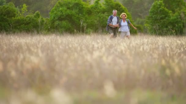 Senioren wandelen in het platteland — Stockvideo