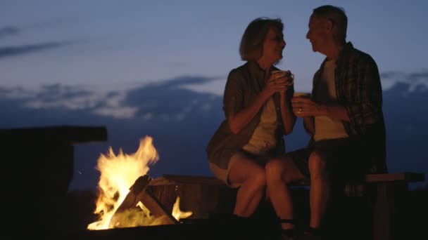Kamp ateşi ile oturan Çift — Stok video