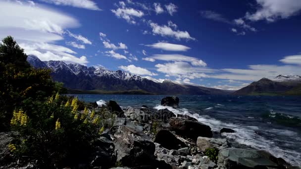 Vista litorânea através de flores silvestres pelo Lago Wakatipu — Vídeo de Stock