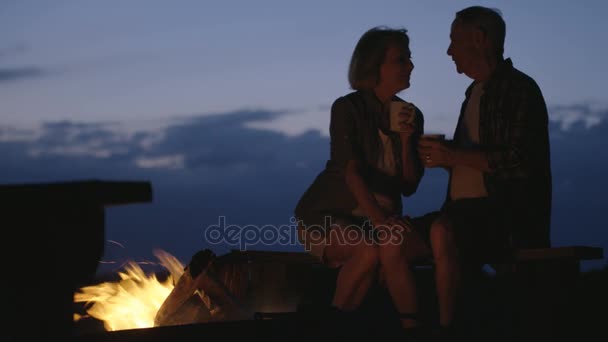 Couple enjoying evening campfire — Stock Video