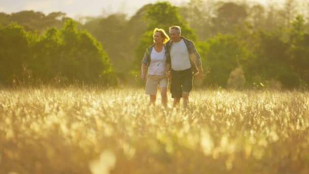 Couple in the countryside walking — Stock Video