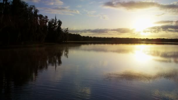 Sjön och vildmark vid soluppgången — Stockvideo