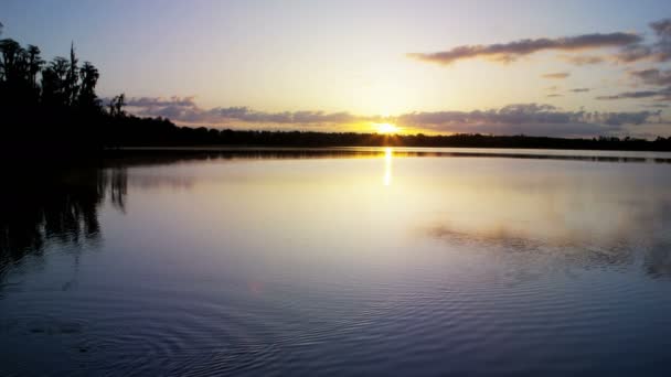 Lake en wildernis bij zonsondergang — Stockvideo