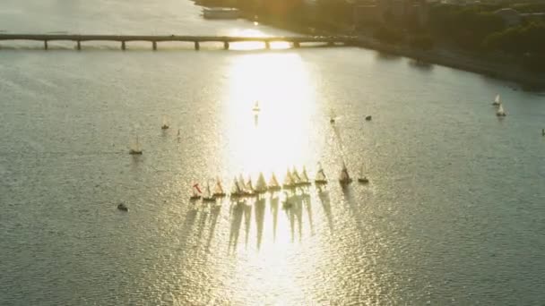 ボストン アメリカ合衆国 2017 チャールズ川強い日差しの太陽フレア マサチューセッツ州アメリカの競争の競争ヨット ディンギーの空中写真 — ストック動画