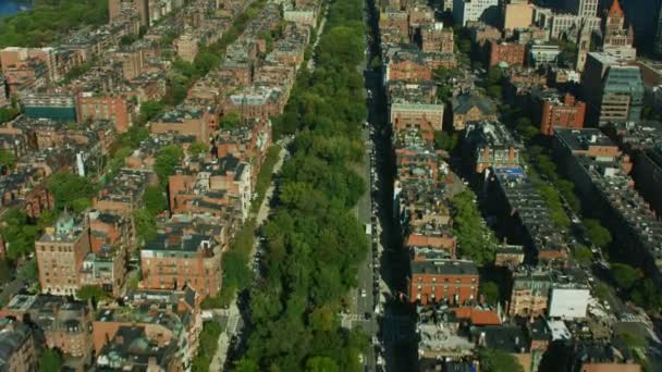 Vista Aérea Cidade Marco Commonwealth Avenue Boston Public Garden Bairro — Vídeo de Stock