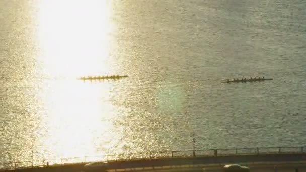 ボストン アメリカ合衆国 2017 チャールズ川マサチューセッツ州アメリカの手漕ぎボートでレースの航空写真 — ストック動画