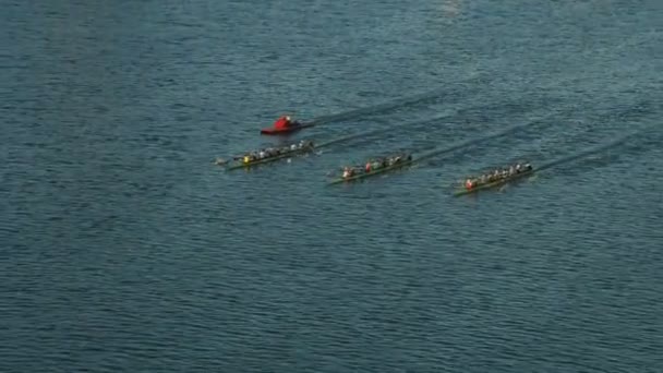 Βοστώνη Ηπα Νοέμβριος 2017 Αεροφωτογραφία Του Ανταγωνισμού Αγωνιστικά Βάρκες Κουπιά — Αρχείο Βίντεο