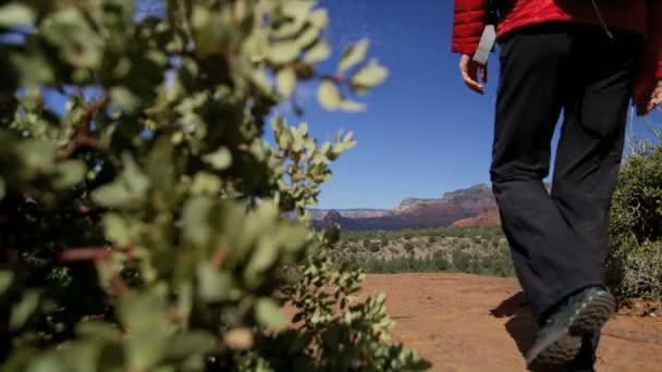 Jovem Caucasiana Americana Viajante Sua Expedição Caminhadas Verde Valley Arizona — Vídeo de Stock