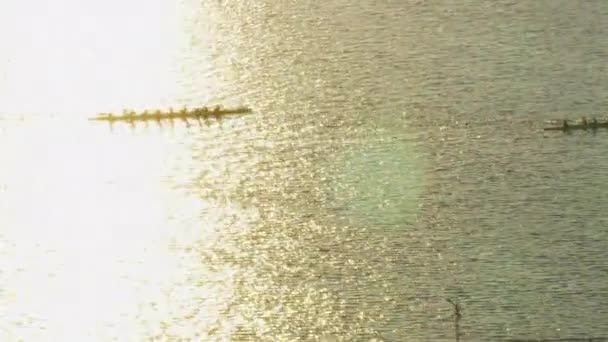 Boston Usa November 2017 Luftaufnahme Von Wettkämpfen Ruderbooten Auf Dem — Stockvideo