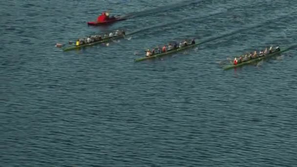 Boston Usa November 2017 Aerial View Competition Racing Rowing Boats — Stock Video