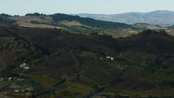 Aerial View Californian Scorched Burnt Land Valley Hillside Agriculture Vineyards — Stock Video