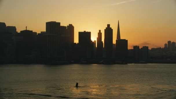 Aerial Sunset Stadsutsikt Port San Francisco Transamerica Pyramid Skyskrapa Embarcadero — Stockvideo