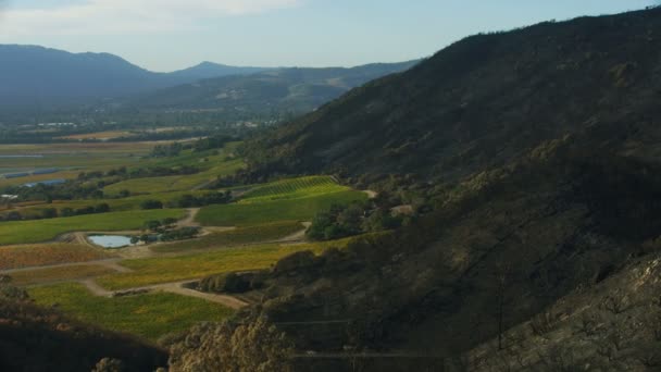 Vista Aérea Del Valle Napa Quemado Quemado Agricultura Ladera Viñedos — Vídeos de Stock