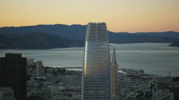 Yeni Şehir Merkezindeki Salesforce Tower Adlı Gece San Francisco Golden — Stok video